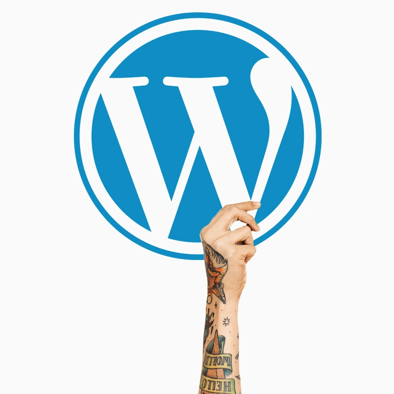 Hand holding up the WordPress logo