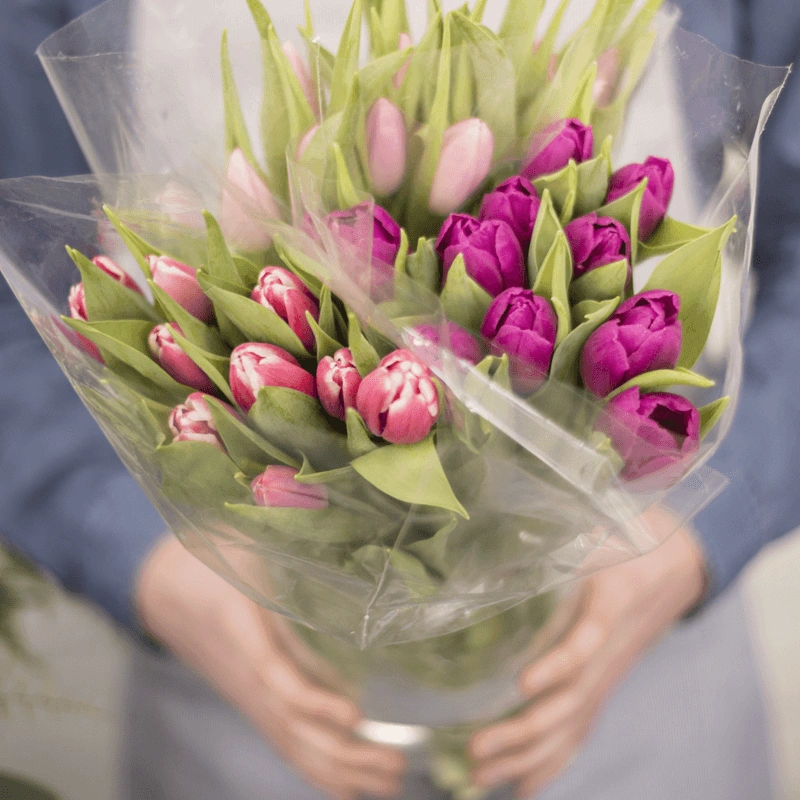 A beautiful bouquet of flowers being held with both hands